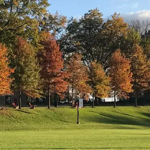 Banner of Haber Green with the Castle in the back during autumn.