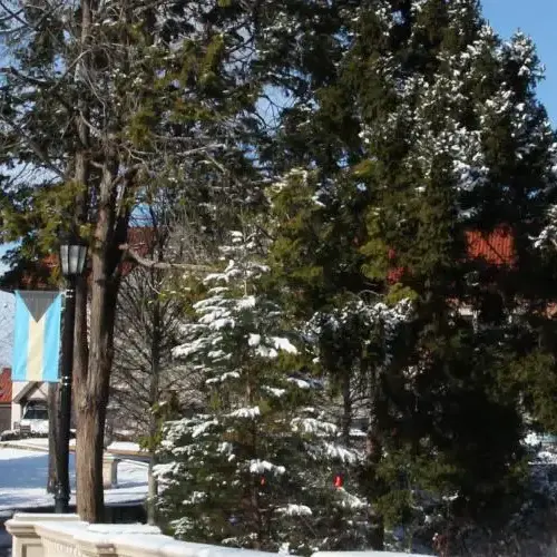 Photo of Murphy Hall with snow covered trees and grass.