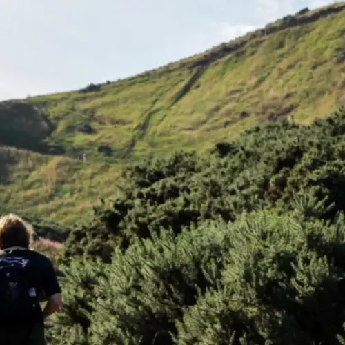 Beautiful landscape photo of students walking towards green hills.