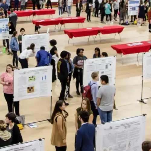 An open house in the gymnasium