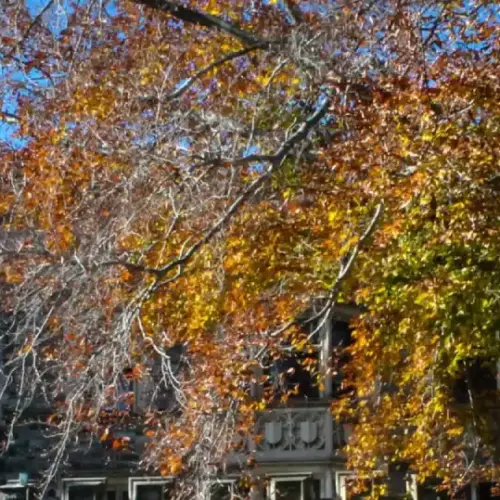 Photo of the top of Grey Towers Castle as the leaves of the trees around it are changing colors.