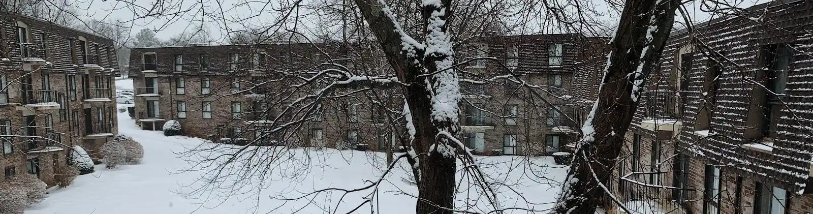 Oak Summit in the winter with snow on the ground