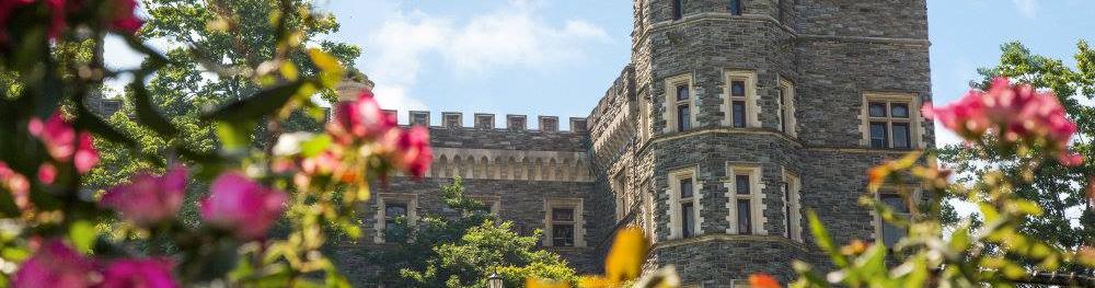 An outdoor view of Grey Castle on a sunny day, seen through a rose bush.