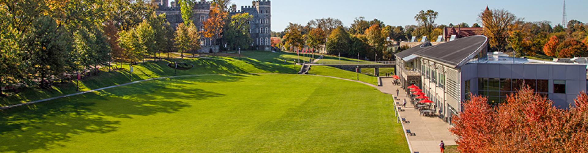 An overhead look of Haber Green on a sunny day