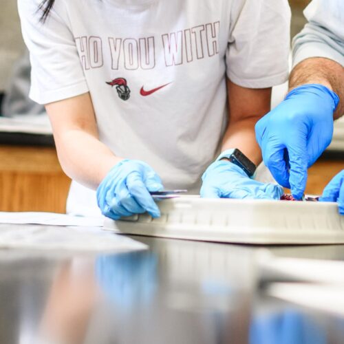 Two students and a teacher working together in a lab.