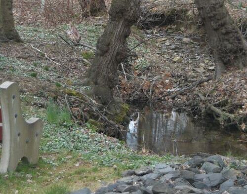 A red bench is empty next to a stream and several bare trees