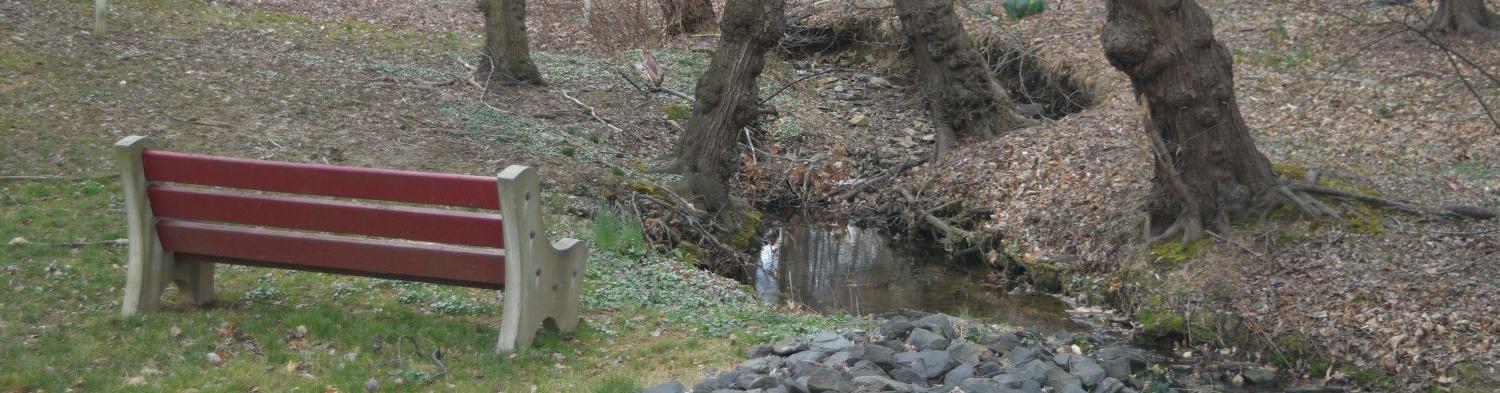 A red bench is empty next to a stream and several bare trees