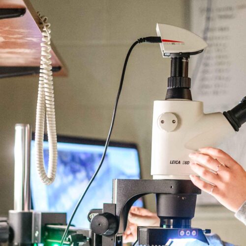 A woman looking into microscope