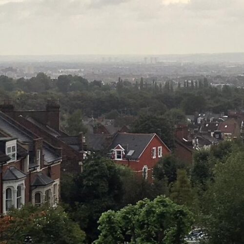 An aerial view of suburban cottages on the outside of the city