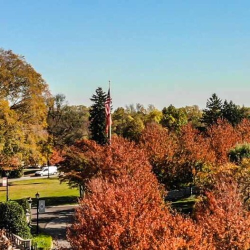 Castle in the fall