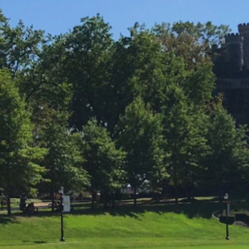 A photo of Haber Green and the Walk of Pride on a sunny day