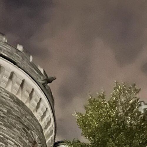 The top of the Castle Towers at night for Halloween.