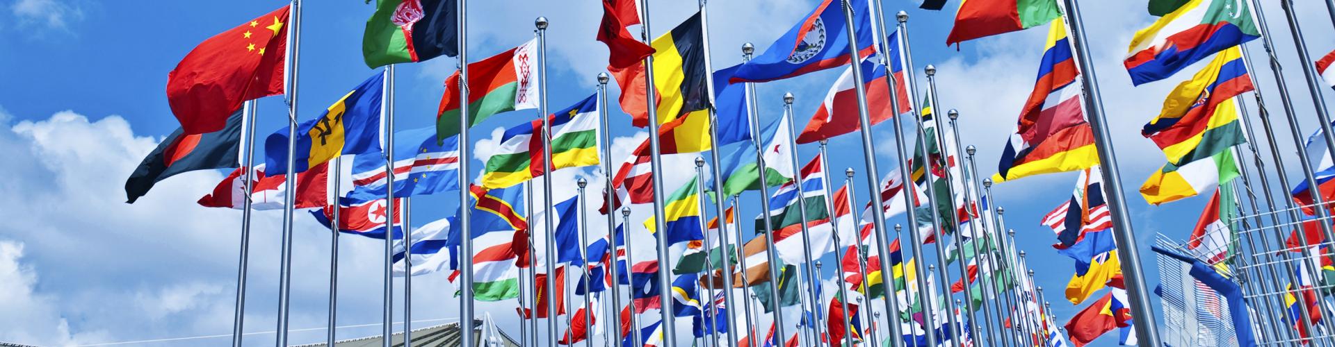 A collection of flags waving in the wind