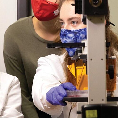 Students looking at a bigger version of what is seen through the microscope.