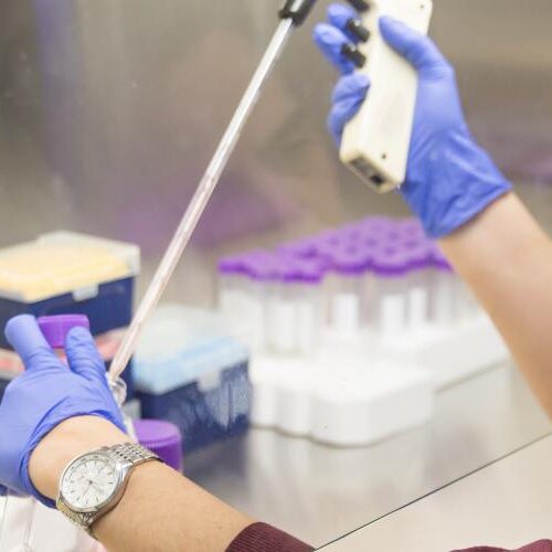 A faculty member in a laboratory doing experiments