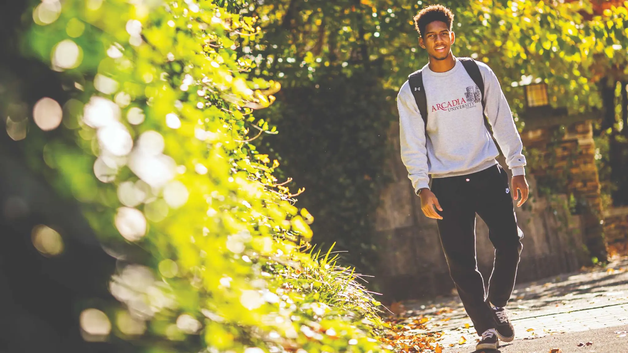 Male student walks on the sidewalk on campus on a sunny day