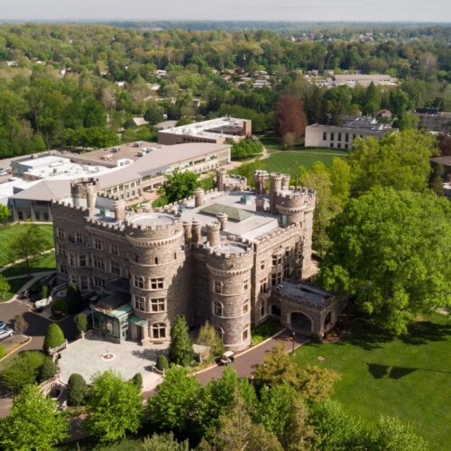 A bird's eye view of Arcadia's castle surrounded by green foliage.