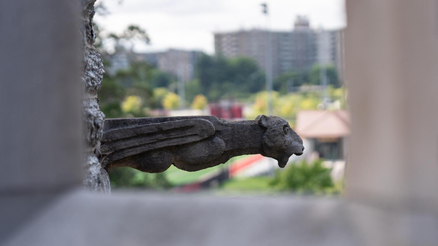 Gargoyle on Greys Tower Castle