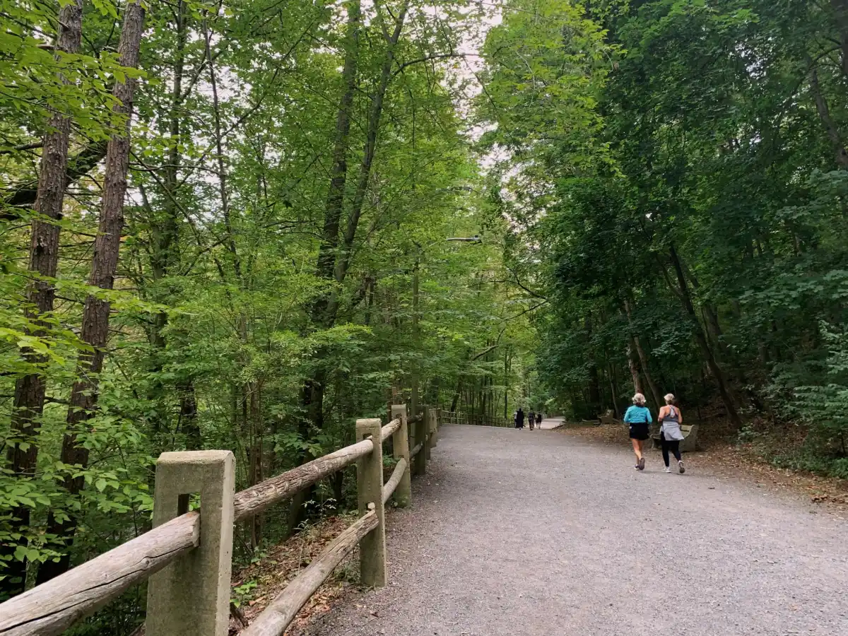 A gravel path through the woods where two women jog with their backs to the camera