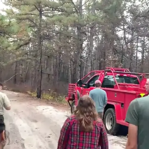 a fire ecology lab class in the forest