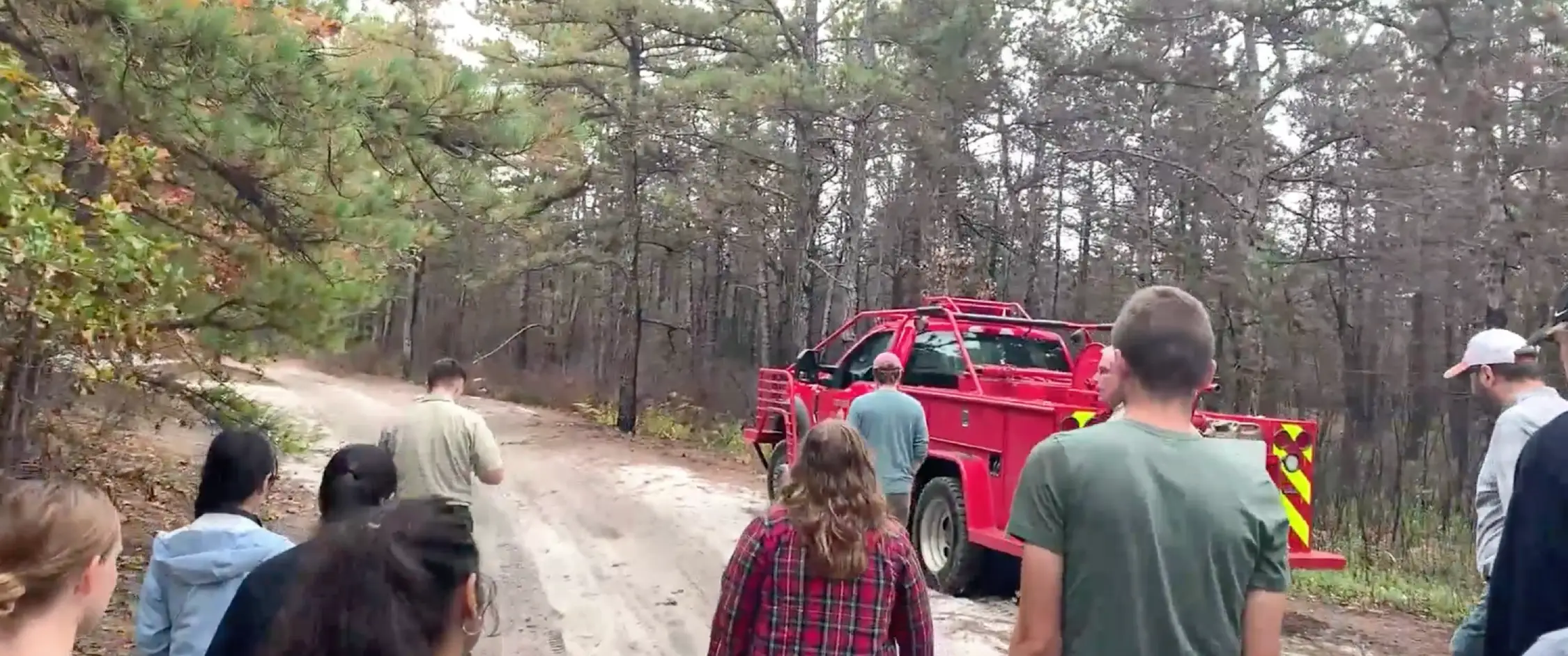 a fire ecology lab class in the forest