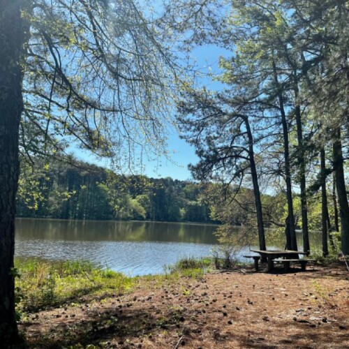 A serene landscape of a lake surrounded by trees and a picnic table