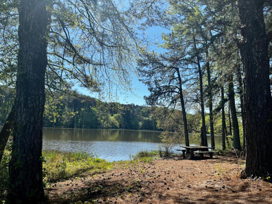 A serene landscape of a lake surrounded by trees and a picnic table