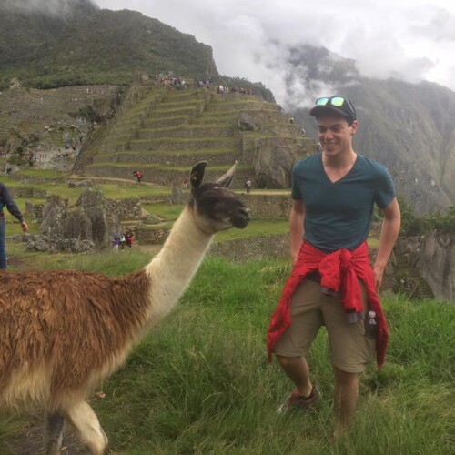 Jonathan Cassidy '19, '22MEd on a green hill in Peru next to a llama