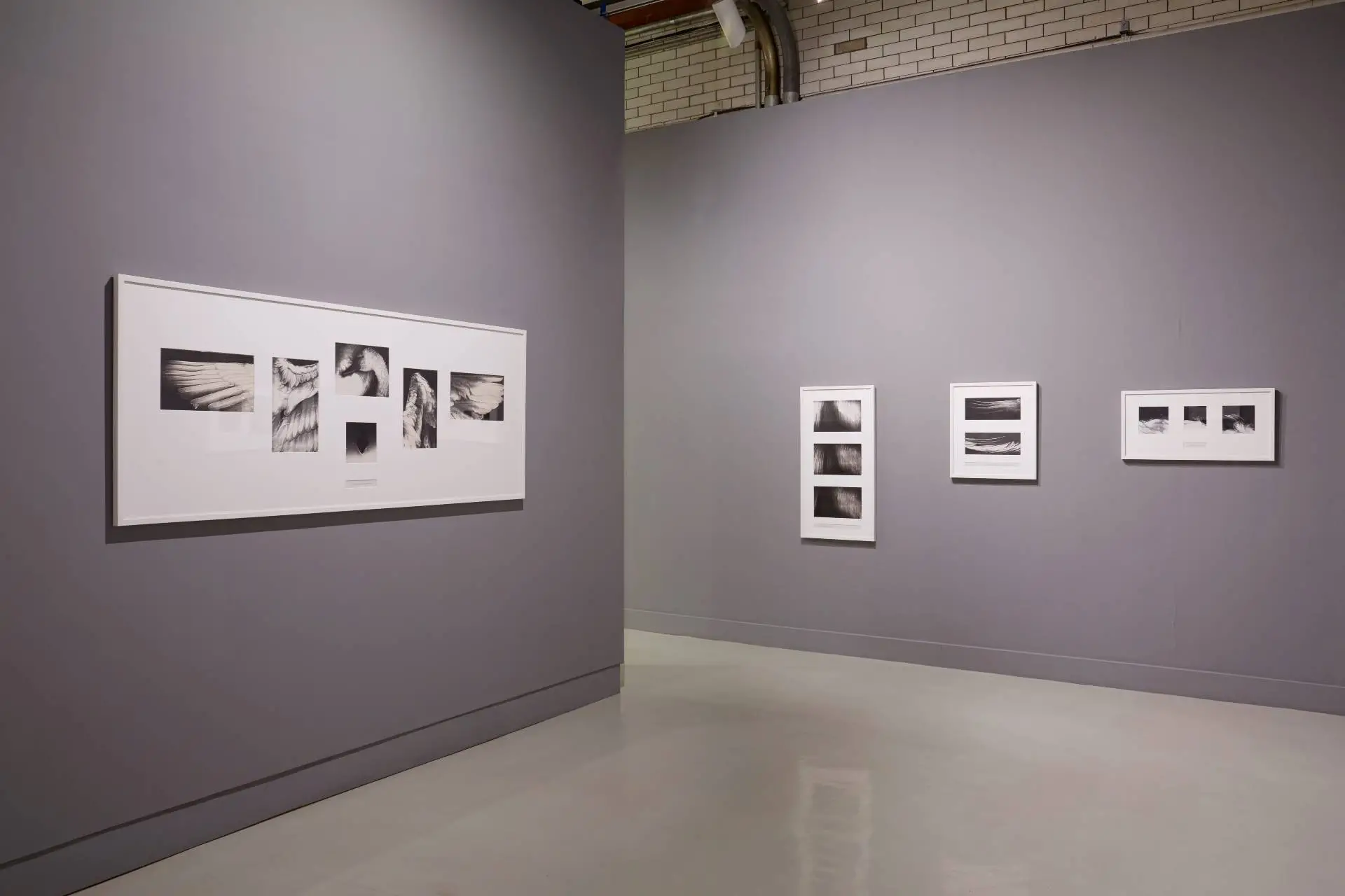 Photograph of Commons Art Gallery exhibition space featuring Patti Hill's artwork.